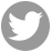 ico_twitter